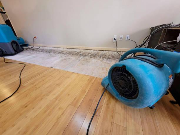 Professional Structural Drying technician working in Brentwood, TN